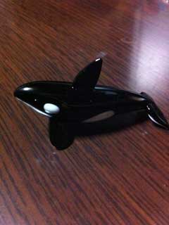 シャチ